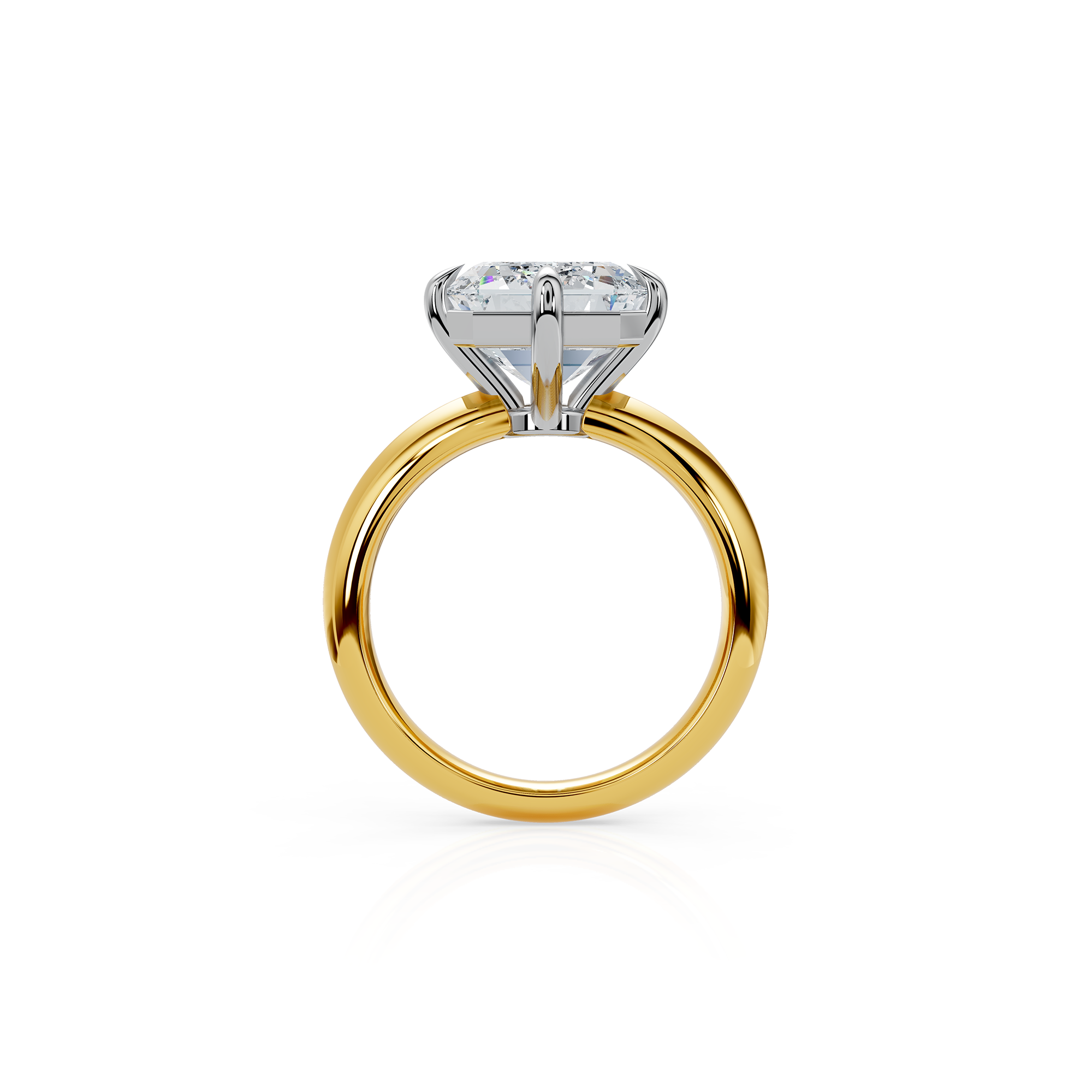 Finished rendering